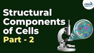 Structural components of Cells - Part 2 | Don't Memorise