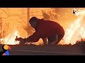 Man Saves Rabbit From Fire in California | The Dodo