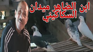 الاسطي#عزت_وزه أ ب نش الحمام(ثعلب الصحراء)