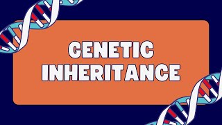 Pleiotropy Vs. Epistasis Vs. Polygenic inheritance