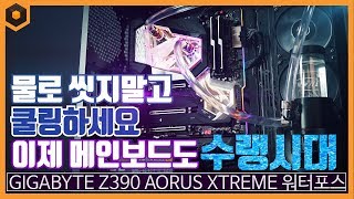 물, 마시지 마세요, 메인보드에 양보하세요. GIGABYTE Z390 AORUS XTREME 워터포스