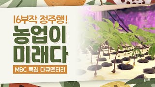 '농업이미래다' MBC 특집다큐멘터리 16부작 정주행! #한국농업 #6차산업 #농업 #스마트팜 #한류 #K푸드 #K-FOOD #귀촌 #청년농부