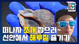 🐚조개잡이를 나선다~ 해루질남의 신안 증도 방문기!｜231110 별별다방