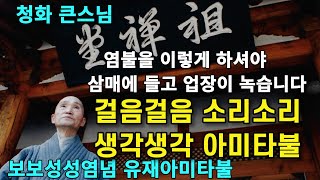 나무아미타불 염불을 걸음걸음 소리소리 생각생각에 하셔야 삼매에 들고 업장이 소멸합니다 | 보보성성염념유재아미타불 | 청화스님 법문