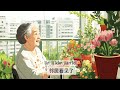 my balcony flowers learn chinese for beginners reading u0026 listening skills