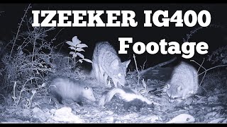 IZEEKER IG400 Trail Camera Wildlife Footage Compilation