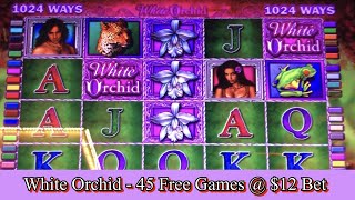 White Orchid Slot Machine - 45 Free Games Bonus + Retriggers @ $12.00 Bet BIG WIN!! 👉👍🤑😱