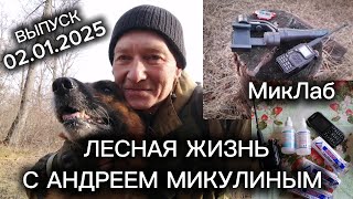 Лесная Жизнь с Андреем Микулиным. Выпуск от 02.01.2025. МикЛаб