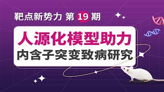 靶点新势力｜人源化模型助力内含子突变致病研究！