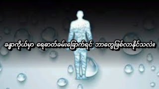 ခန္ဓာကိုယ်မှာ ရေဓါတ်ခမ်းခြောက်ရင် ဘာတွေဖြစ်လာနိုင်သလဲ။