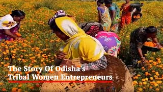 How These Tribal Women Turned Into Entrepreneurs In Odisha