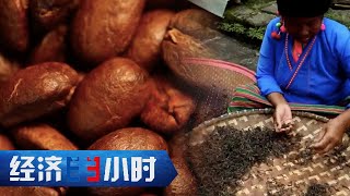 “左手咖啡右手茶”年产值或超500亿元！黑豆豆变成致富“金豆豆” ，古茶林铺就茶文旅融合“致富路” 「经济半小时」20240116 | 财经风云