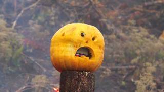 Exploding Pumpkins (and Fail)
