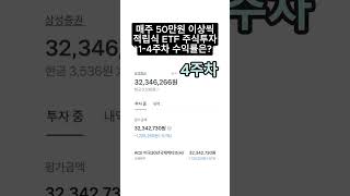 매주 50만원 이상씩 적립식 ETF 주식투자 4주간 수익률은? #etf #주식