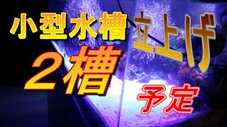 🐠海水魚水槽🐟小型オーバーフロー水槽２台セット立上げ予定です