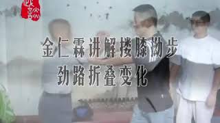 杨式叶派太极拳 - 金仁霖老师讲解搂膝拗步劲路折叠变化