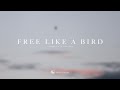 Anthony P. & Thunder - Free Like A Bird