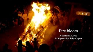 清瀬市中里の火の花祭りFire bloom2010 Kiyose City, Tokyo