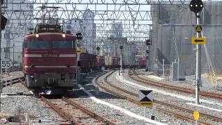 城東貨物線 EF81-126号機 百済－平野 2012.03.14