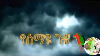 የሰማዩ ጉዞ 1