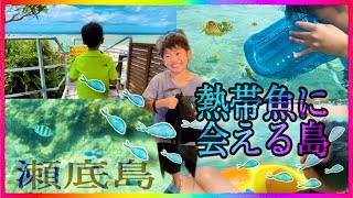 瀬底ビーチ（沖縄県本部町）潜れない僕たちでも沢山の熱帯魚を発見したよ！沖縄旅行/子連れ/2泊3日