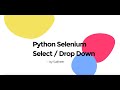 Python Selenium Handling Select Box