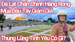 Đà Lạt Chấn Chỉnh Hàng Rong, Mùa Dâu Tây Giảm Giá Mùa Ế