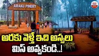 అరకు వెళ్తే ఇది అస్సలు మిస్ అవ్వకండి..! | SPECIAL Story On Araku Pinery | Araku Tourist Places | ABN