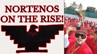 Nortenos Are Stronger Than Ever!