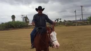 Rienda Indirecta, Neck Rein. PRIMERA PARTE. Rienda de pescueso.Rienda de Afuera