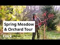 Early SPRING 2024 MEADOW, ORCHARD & WILDLIFE CORRIDOR Tour — Ep. 248