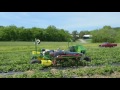 Nashville farmers invent strawberry picking machine