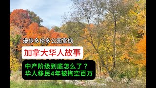 【加拿大华人故事】加拿大中产阶级活得有多惨？华人移民四年竟然被掏空百万｜华人｜加拿大｜移民｜投资移民｜中产阶级｜赏枫｜