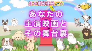 【虹の橋郵便局🌈🏣】〜君の物語〜＃ペットロス