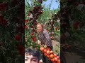 Amazing beautiful fresh fruits #fruit #asmr #fyp #funny