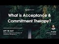What is Acceptance and Commitment Therapy (ACT)?