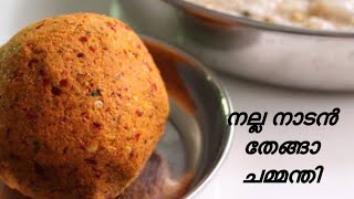 ചോറിനൊപ്പം കഴിക്കാൻ ഈ ഒരു ഐറ്റം മതി 😋നല്ല നാടൻ തേങ്ങാ ചമ്മന്തി😋🥥 #coconut #keralastyle #trending