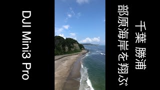 千葉 勝浦 部原海岸を翔ぶ 千葉絶景  - 部原海岸 - 【DJI Mini3 Pro 縦向き撮影（True Vertical Shooting）クイックショット】#shorts