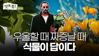 📚 우울할 때 친구가 필요할 때 나는나는 식물을 기르죠🌱 | 식물 에세이 감정효과 신간 앗뜨북