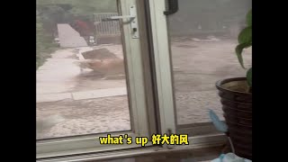 猫后生配音秀：狗狗：完了，我的被子被风吹跑了！