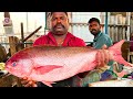 KASIMEDU 🔥 SPEED SELVAM | RED SNAPPER FISH CUTTING VIDEO | IN KASIMEDU | FF CUTTING 🔪