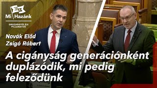 A cigányság generációnként duplázódik, mi pedig feleződünk