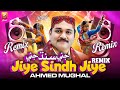 Jiye Sindh Jiye Sindh Wara jean Remix | Ahmed Mughal | Sindhi Culture Day 2024 | TP Remix