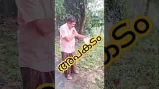 ഇങ്ങനെ ചെയ്യരുത് #trending #respect #ytviral #ytshort #respectshorts #shorts #youtube #daiper #info