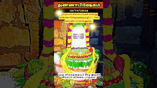 இன்று அன்னாபிஷேகம் #shorts #annabisekam #astrology #annabhishekam