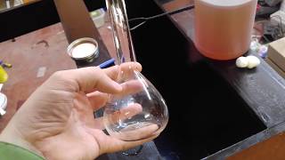 culturing vinegar eels - live fish foods - Turbatrix aceti