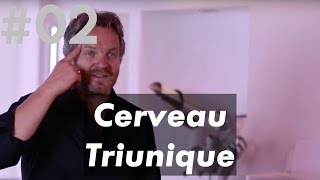 Le Cerveau Triunique (reptilien, limbique, néocortex)