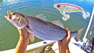 Using MIRROLURES to CATCH BIGGER TROUT! (Caught my new Personal Best!)