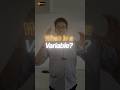 What is a Variable in Python Telugu