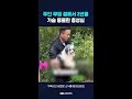 주인 무덤 곁에서 2년을…가슴 뭉클한 충성심 #shorts